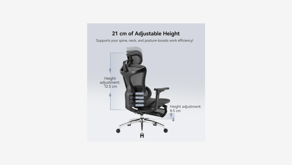 SIHOO Doro C300 Pro Ergonomic Office Chair