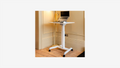 Portable Height Adjustable Desk